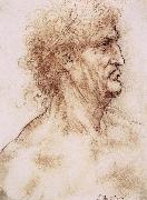 Profile one with book leaves gekroten of old man LEONARDO da Vinci